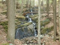 RIVER ROAD HAMILTON NY 5-10-2015_00018.JPG