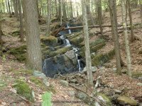 RIVER ROAD HAMILTON NY 5-10-2015_00019.JPG