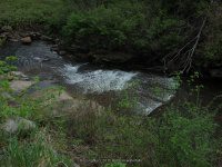 BEECHER CREEK 1 SARATOGA 5-10-2015_00001.JPG