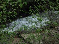 BEECHER CREEK 1 SARATOGA 5-10-2015_00003.JPG
