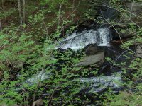 BEECHER CREEK 3 SARATOGA 5-10-2015_00003.JPG