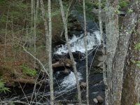 BEECHER CREEK 3 SARATOGA 5-10-2015_00004.JPG