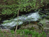 BEECHER CREEK 3 SARATOGA 5-10-2015_00005.JPG