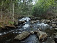 BEECHER CREEK 3 SARATOGA 5-10-2015_00008.JPG