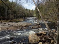 SACANDAGA RIVER 1 HAMILTON NY 5-10-2015_00003.JPG