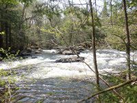 SACANDAGA RIVER 1 HAMILTON NY 5-10-2015_00004.JPG