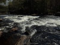 SACANDAGA RIVER 1 HAMILTON NY 5-10-2015_00005.JPG