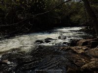 SACANDAGA RIVER 2 HAMILTON NY 5-10-2015_00005.JPG