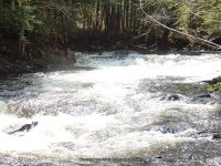 SACANDAGA RIVER 2 HAMILTON NY 5-10-2015_00007.JPG
