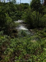 BURDEN POND OUTLET DAM 5-14-2015_00016.JPG