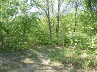WYNANTS KILL FALLS ON 1 5-14-2015_00003.JPG