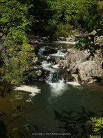 WYNANTS KILL FALLS ON 2 5-14-2015_00010.JPG