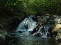 WYNANTS KILL FALLS ON 3 5-14-2015_00006.JPG