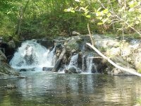 WYNANTS KILL FALLS ON 3 5-14-2015_00007.JPG