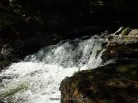 WYNANTS KILL FALLS ON 4 5-14-2015_00002.JPG