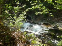WYNANTS KILL FALLS ON 4 5-14-2015_00013.JPG