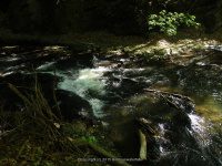 WYNANTS KILL FALLS ON 5 5-14-2015_00003.JPG