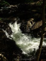 WYNANTS KILL FALLS ON 5 5-14-2015_00006.JPG