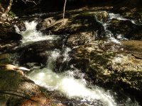 WYNANTS KILL FALLS ON 5 5-14-2015_00011.JPG