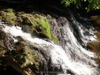 WYNANTS KILL FALLS ON 5 5-14-2015_00015.JPG