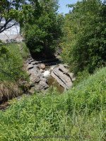 MARTINSBURG FALLS 6-7-2015_00004.JPG
