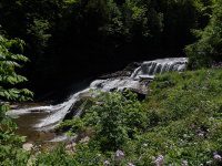 MOORES-SILVER FALLS 6-7-2015_00005.JPG
