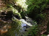 WHETSTONE 2ND SECTION 6-7-2015_00003.JPG
