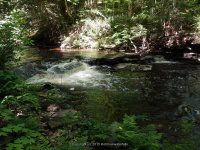 WHETSTONE FIRST SECTION 6-7-2015_00001.JPG