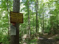 WHETSTONE FIRST SECTION 6-7-2015_00003.JPG
