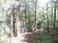 WHETSTONE GULF FALLS 6-7-2015_00001.JPG