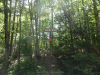 WHETSTONE TRAIL START 6-7-2015_00007.JPG