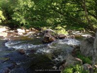OTTER CREEK falls on 6-7-2015_00007.JPG