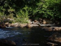 OTTER CREEK falls on 6-7-2015_00011.JPG