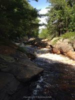 ALONG WEST SIDE TRAIL 6-7-2015_00001.JPG