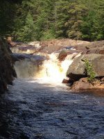 ALONG WEST SIDE TRAIL 6-7-2015_00002.JPG