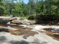 ALONG WEST SIDE TRAIL 6-7-2015_00010.JPG
