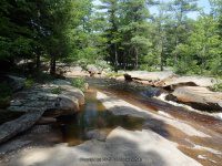 ALONG WEST SIDE TRAIL 6-7-2015_00011.JPG