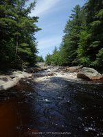 AT BRIDGE LOOKING UPSTREAM 6-7-2015_00009.JPG