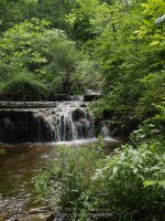 FIRST FALLS AT THE TOP ONONADAGA 6-15-2015_00001.JPG