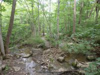 LOOKING DOWN OVER THE THREE FALLS 6-15-2015_00003.JPG