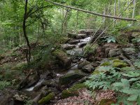 LOOKING DOWN OVER THE THREE FALLS 6-15-2015_00008.JPG