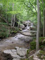 SECOND FALLS AT THE TOP ONONADAGA 6-15-2015_00001.JPG
