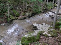 SECOND FALLS AT THE TOP ONONADAGA 6-15-2015_00008.JPG