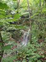 STAIRCASE FALLS ONONADAGA 6-14-2015_00006.JPG