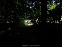 THREE FALLS WOODS TRAIL ONONADAGA 6-14-2015_00002.JPG