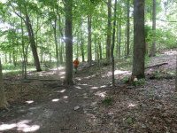 THREE FALLS WOODS TRAIL ONONADAGA 6-14-2015_00003.JPG