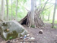 THREE FALLS WOODS TRAIL ONONADAGA 6-14-2015_00008.JPG