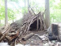 THREE FALLS WOODS TRAIL ONONADAGA 6-14-2015_00009.JPG