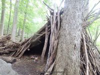 THREE FALLS WOODS TRAIL ONONADAGA 6-14-2015_00010.JPG