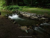 ELMWOOD PARK WATERFALLS ONONADAGA 6-14-2015_00017.JPG